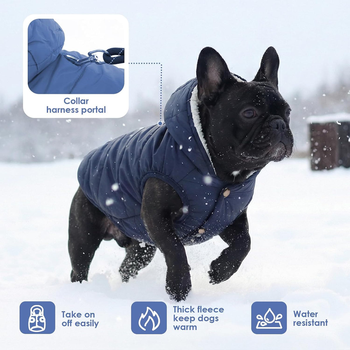 Sawmong dog winter jacket showing elastic leg and bottom edges