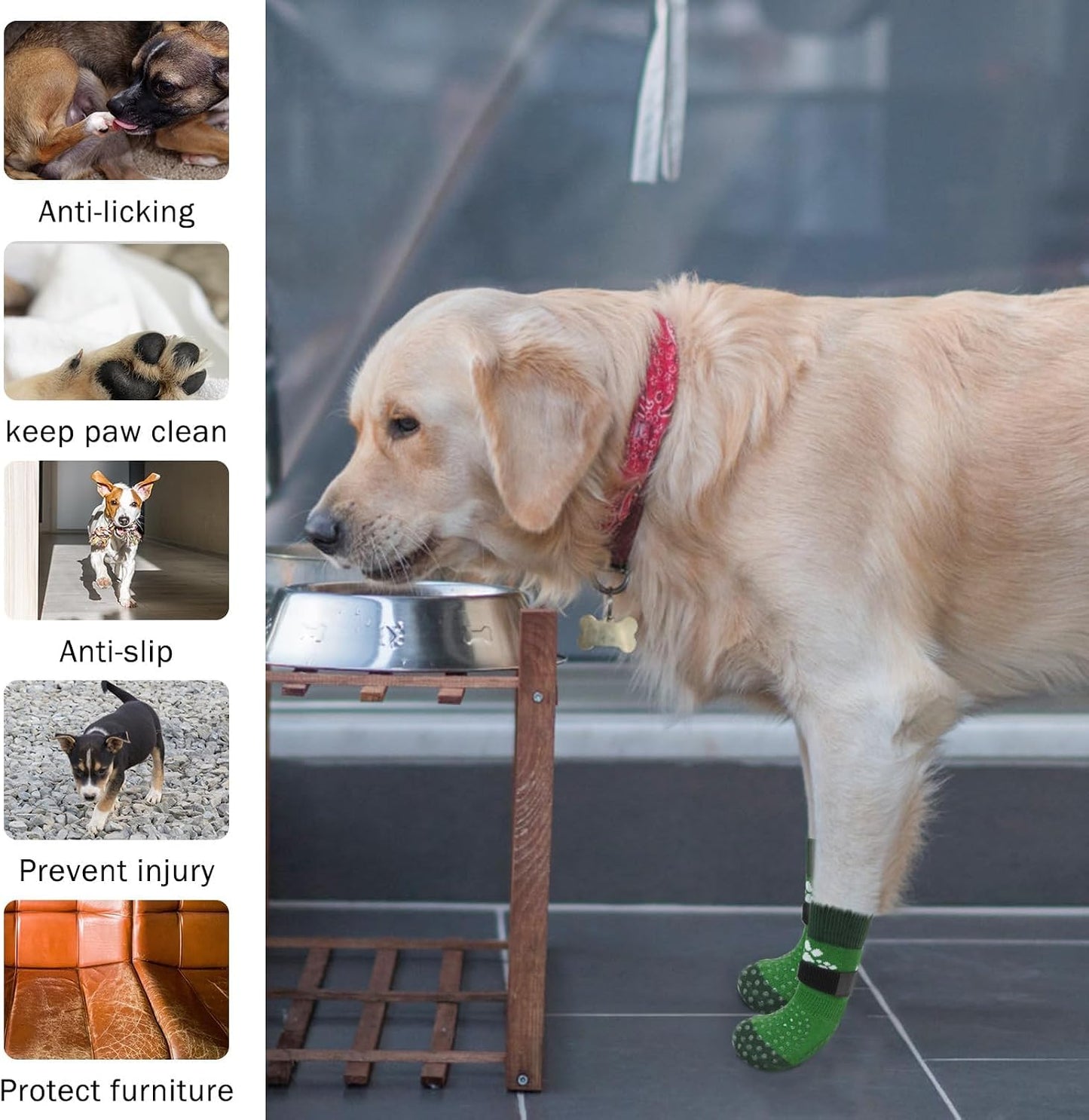 Senior dog walking confidently with Scenereal grip socks