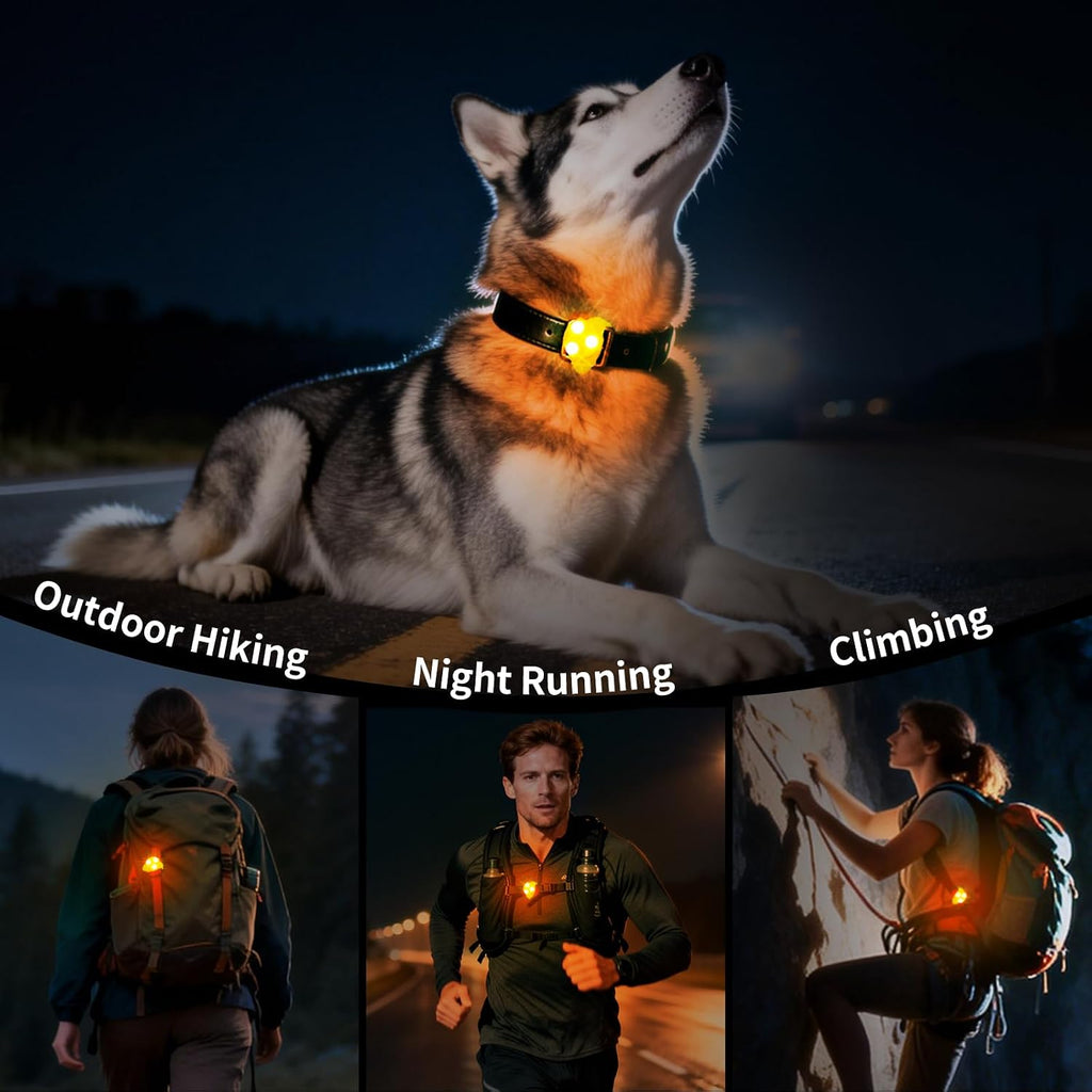 Premium imported LaRoo dog light clip for night walks and camping essentials