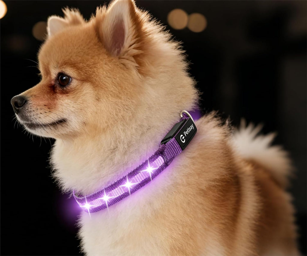 Super Bright LED Dog Collar - Fully Waterproof & Adjustable Glow Collar - USB-C Rechargeable for Night Walking, Safety - Flashing Lighted Collar for Dogs(Green,Medium) - Image 10