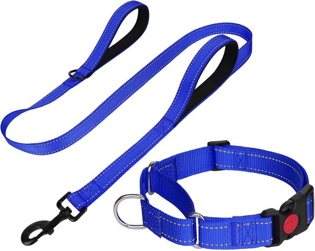 FunTags Reflective Hotpink Martingale Collar (16"-20") & Leash (5ft x 1") for Medium Dog, Escape-Proof with 2 Handles, Safe Night Walks, Durable Nylon, Quick-Release Buckle - Image 15