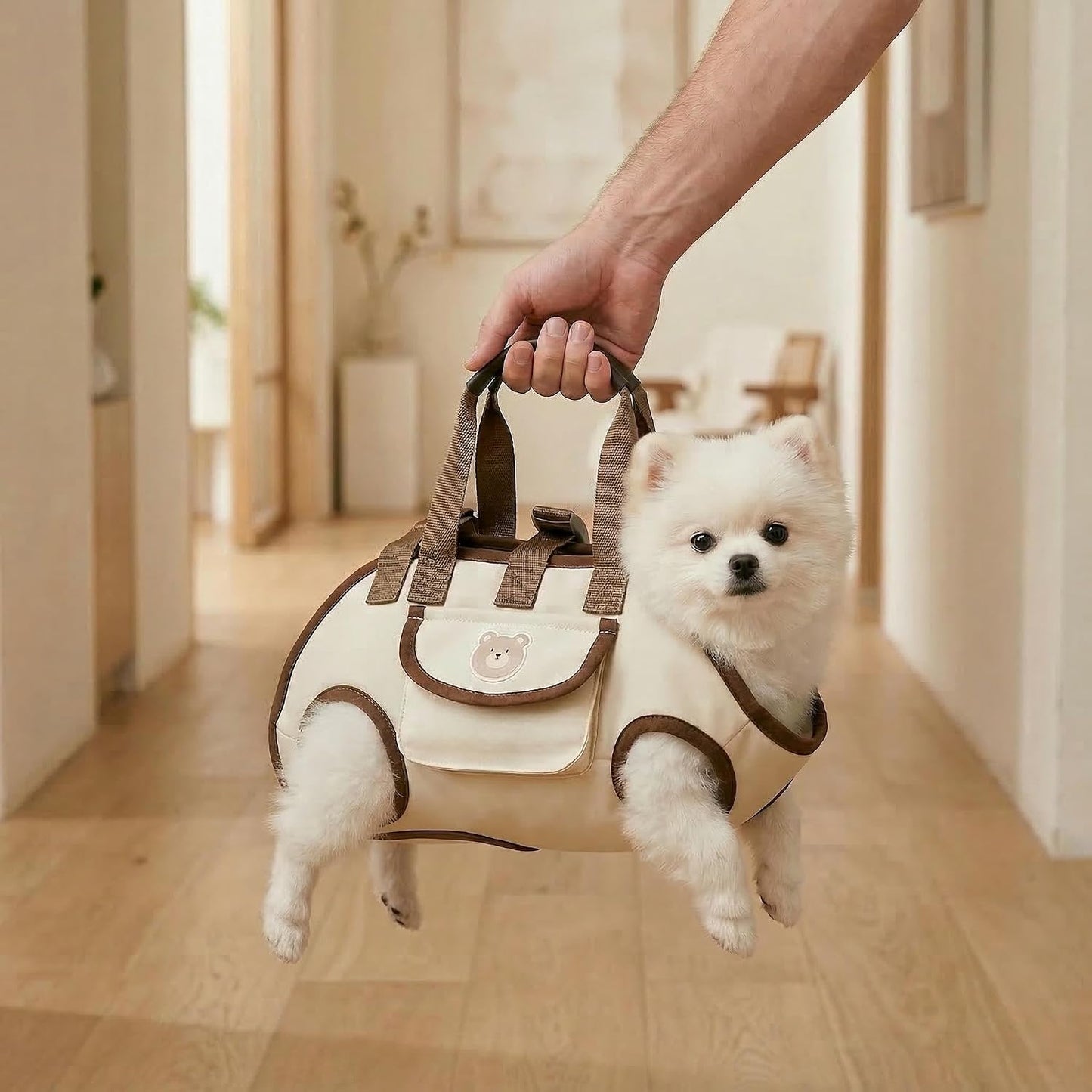 Yinghoyedo cat and dog carrier safety hook feature