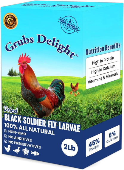 Healthy chicken snack larvae for better egg production