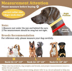 Side profile of a large dog wearing Mayerzon martingale collar