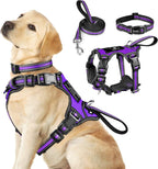 WINSEE Pet Harness Collar and Leash Set, All-in-one Reflective Dog Harness No Pull with Adjustable Buckles for Puppies, Small, Medium, Large, and Extra-Large Dogs (Large, Pink) - Image 13