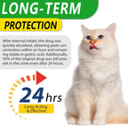 Alivo 60ml herbal dietary supplement for cat wellness routine