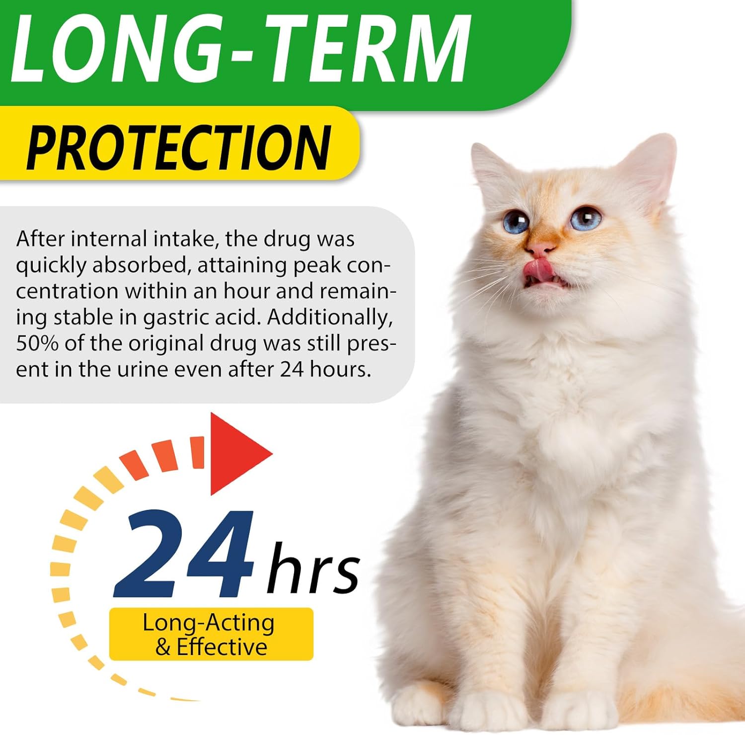 Alivo 60ml herbal dietary supplement for cat wellness routine