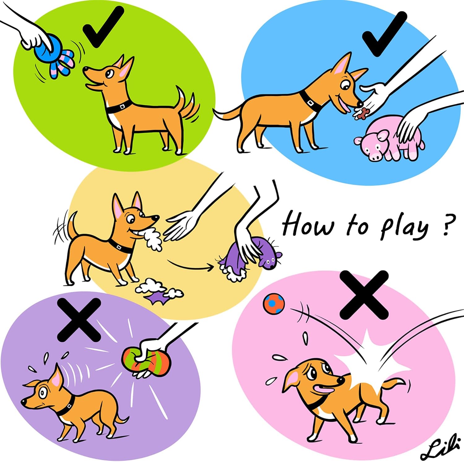Chiwava non toxic natural rubber puppy fetch toys highlighting the built-in squeaker.
