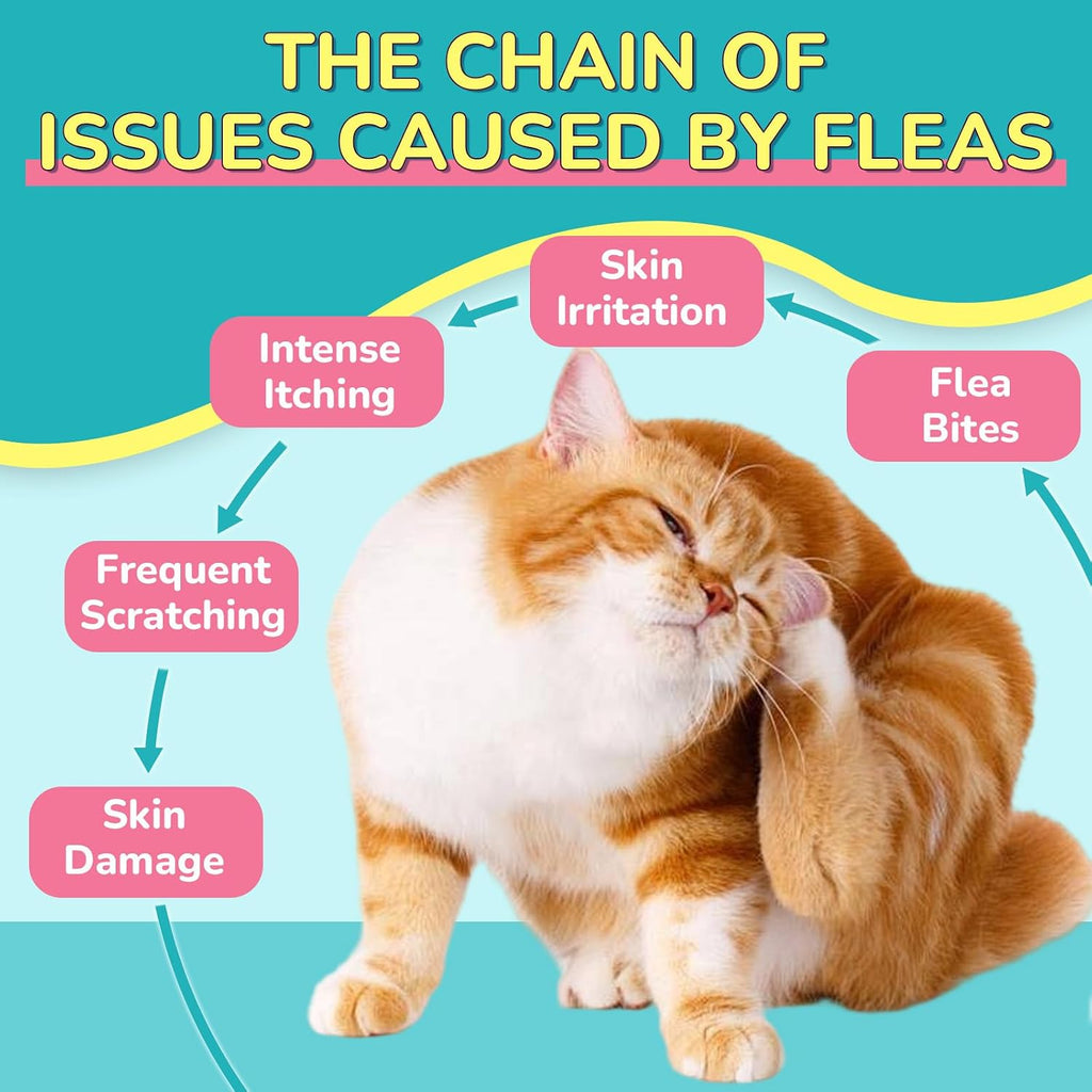 Capstar Woyamay chicken flavor cat itching relief chews feeding instructions