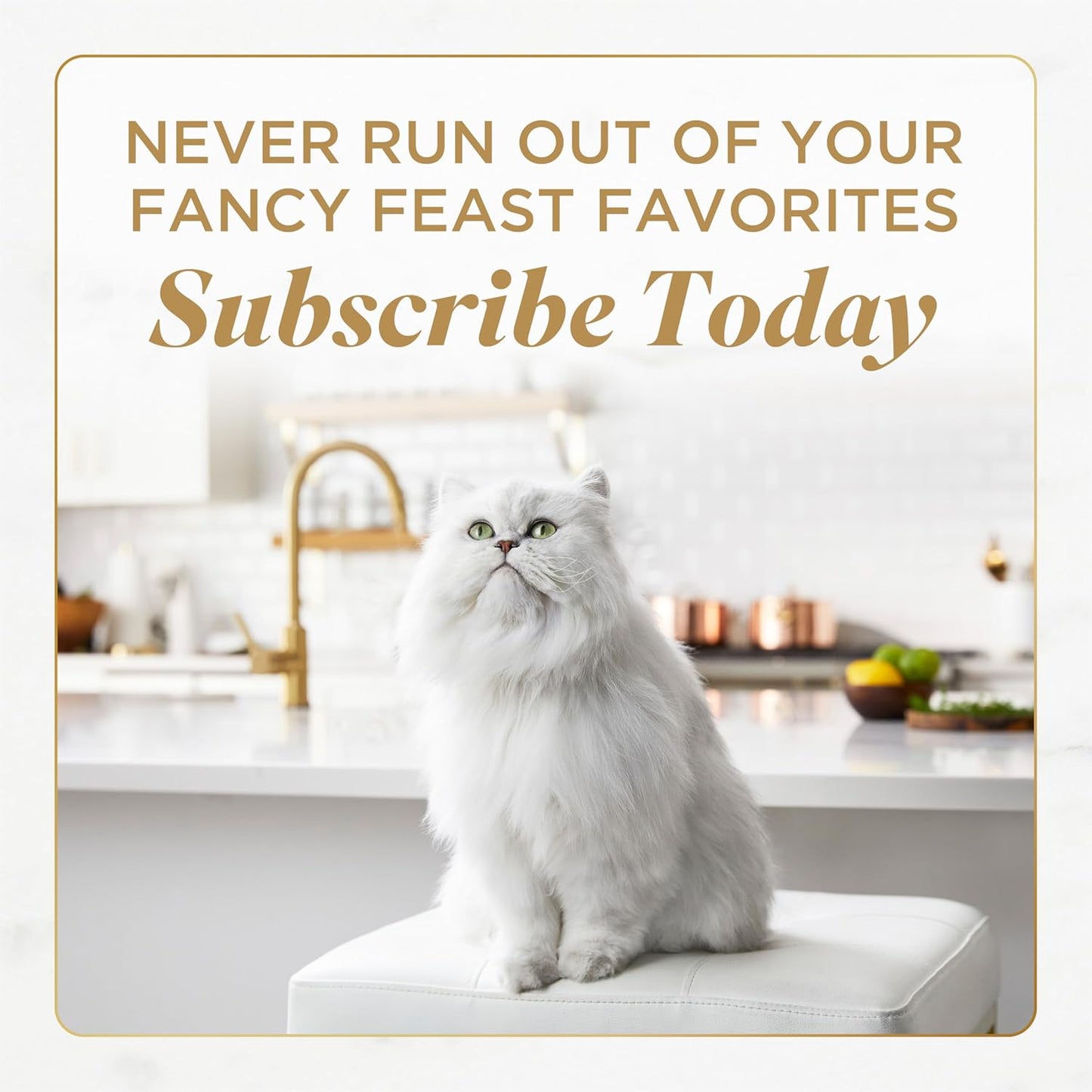 Purina Fancy Feast Gems Pate Mousse Wet Cat Food in Gravy with Turkey - 4 oz. (Pack of 8) - Image 10