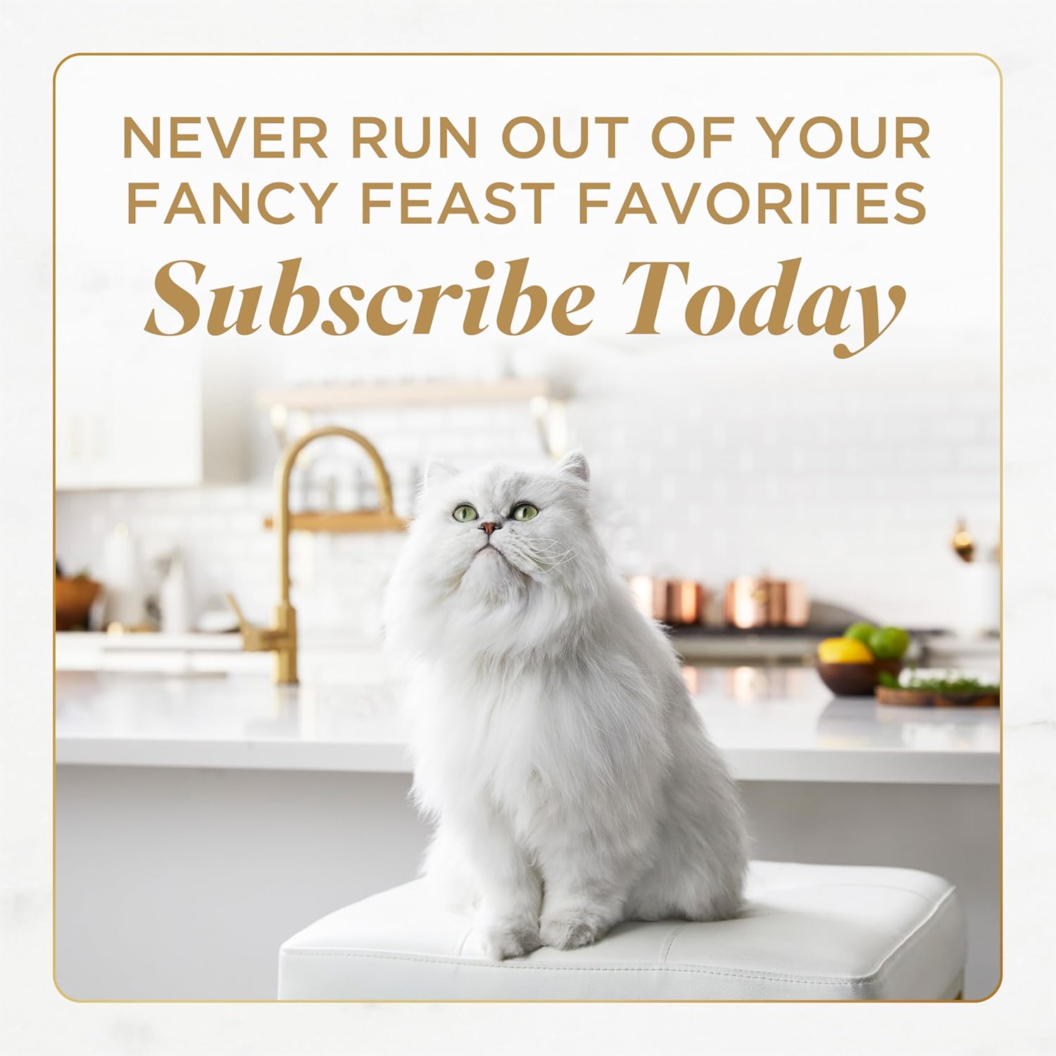 Fancy Feast Gems Pate Cat Food Mousse and a Halo of Savory Gravy Wet Cat Food Variety Pack - (Pack of 12) 4 oz. Boxes - Image 10