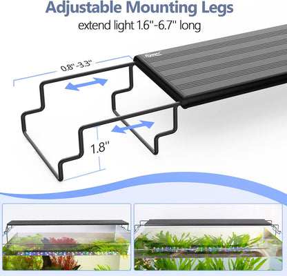 Hygger programmable fish tank lamp cycling through different vibrant color spectrum choices inside a freshwater aquarium.
