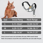 No-pull adjustable dog head halter with striped nylon straps on a dog