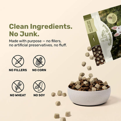 Graphic showing kale and pumpkin superfood ingredients
