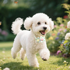 Authentic imported MaSue Pets floral holiday neckwear for medium dogs