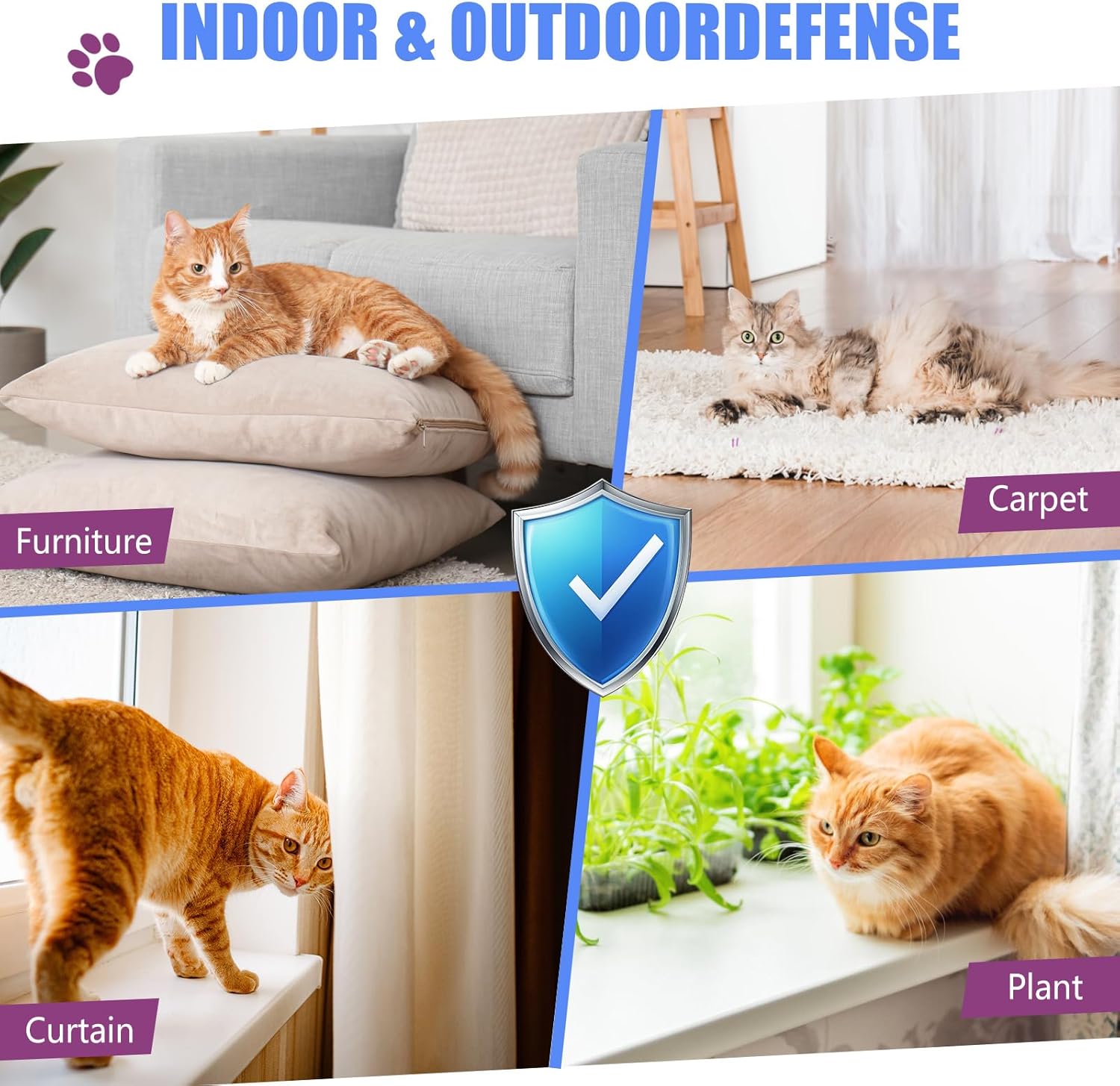Natural orange scent cat repellent spray for indoor use