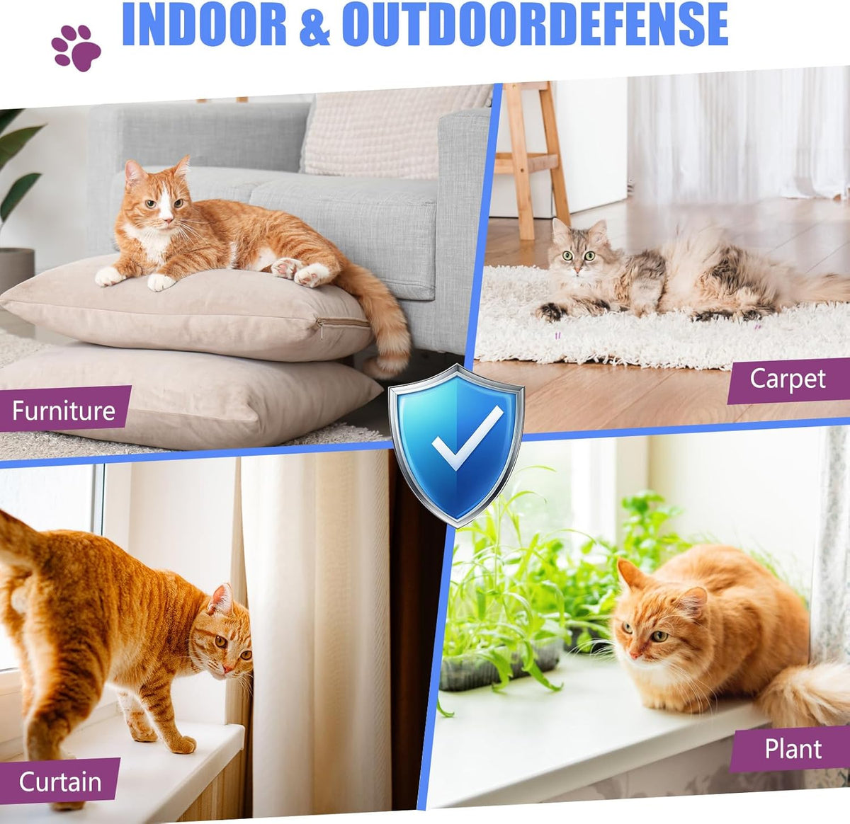 Natural orange scent cat repellent spray for indoor use