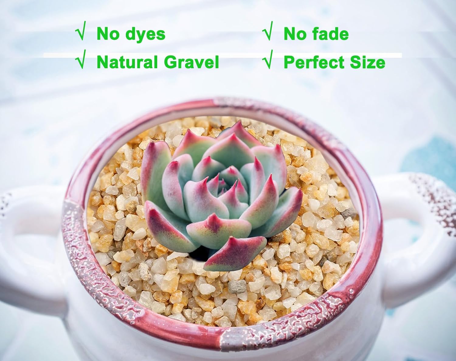 Boniosz garden rocks used for cactus potting