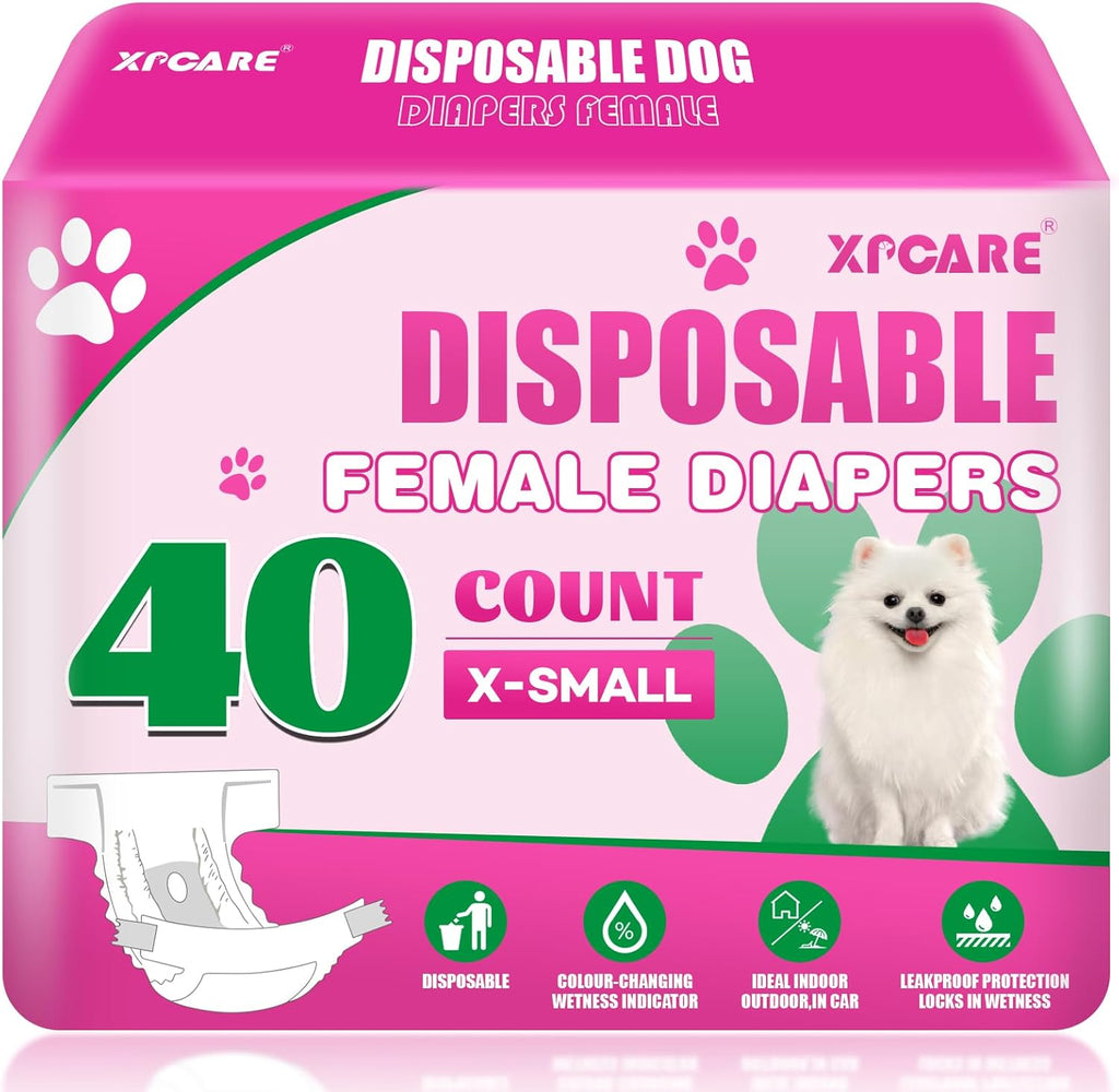 XPCARE protective dog nappies for small female dogs during estrus cycles