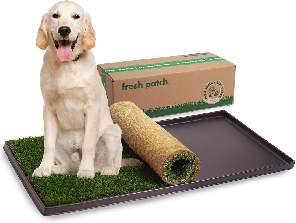 Fresh Patch Real Grass Patch for Dogs, Cats, and Small-Medium Pets Under 15 Pounds - Disposable Pet Grass Pee Pads - Indoor and Outdoor Potty Training Mat (16 Inches x 24 Inches) - Image 9