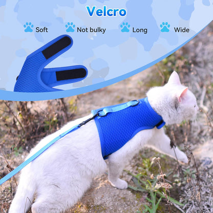 Solid blue escape proof kitty vest with durable dual metal D rings