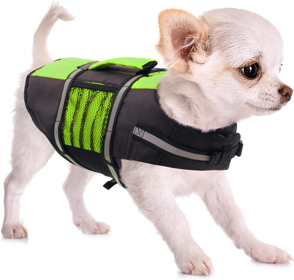 Queenmore Small Dog Life Jacket, Adjustable Pet Life Vest for Small and Medium Dogs with High Buoyancy, Rescue Handle, Reflective Bands for Boating, Canoeing, Swimming - Image 13
