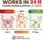 Praziquantel tablets for kittens and cats tapeworm treatment close up