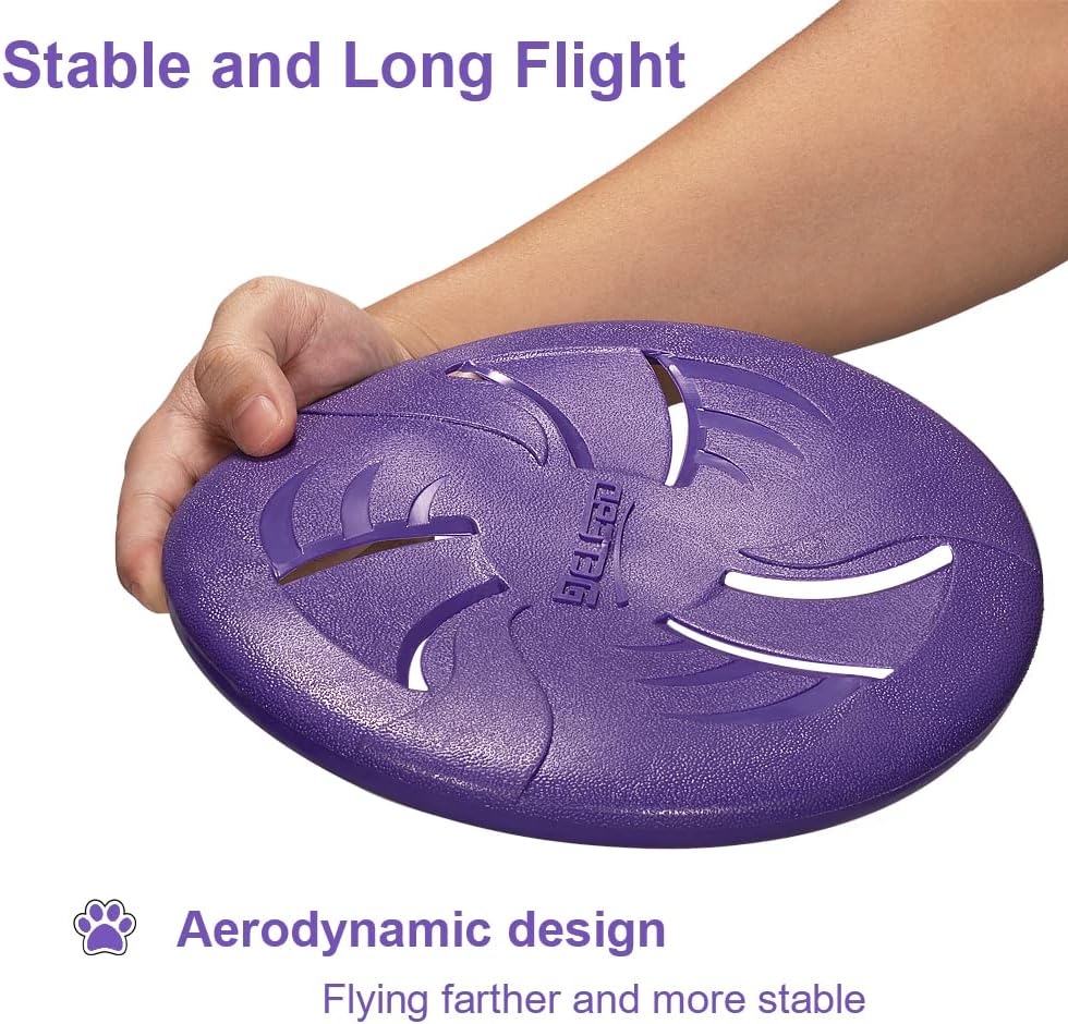 Purple dog frisbee floating on water surface