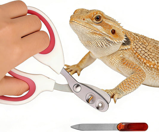 FurryShell Bearded Dragon Nail Clippers front view professional reptile grooming tool.