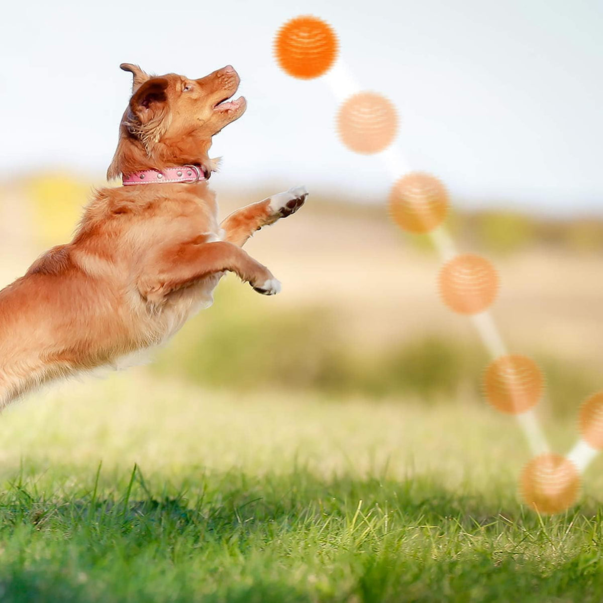 SHARLOVY Squeaky Balls for Pet Small Puppy, 6 Pack TPR Fetch Spike Balls for Dogs, Rubber 6 Pack Bright Colors Chew Teething Dog Toys, for Clean Teeth and Training, for Puppy Chew and Teething - Image 9
