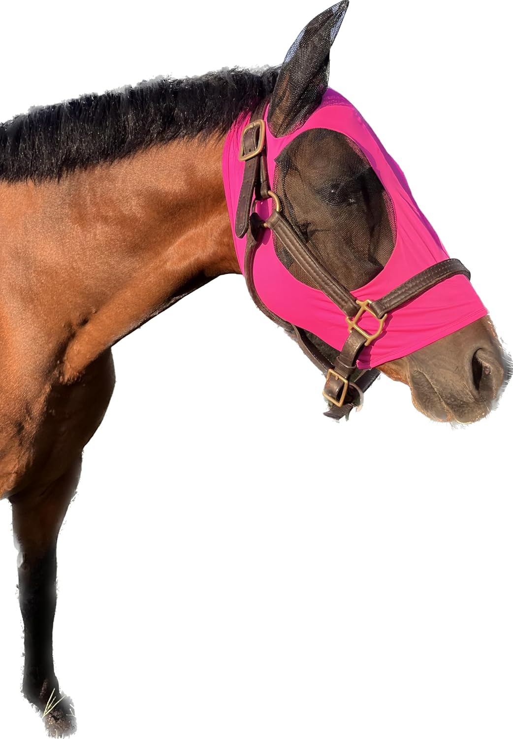 Stretchable UV-Blocking Equine Fly Mask with Moldable Ear Covers, Adjustable Comfort Mesh Straps, Leopard-Pattern Pasture & Trail Protection Perfectly Sized for Full Sized Horses - - Image 12