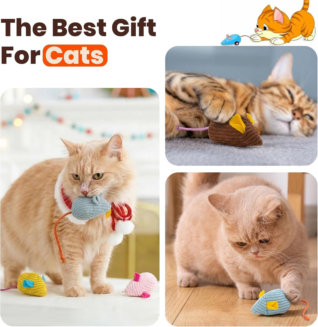 KesterlsShopping kitten exercise toys showing lightweight construction for chasing and swatting.