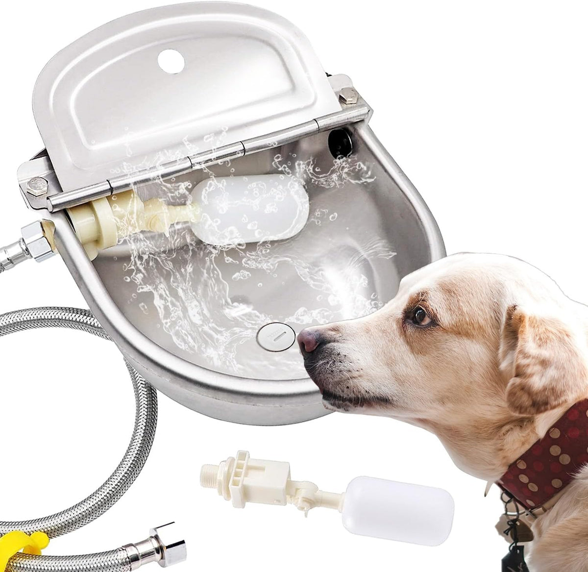 AKUATUZ automatic dog water bowl dispenser front view showing stainless steel trough.
