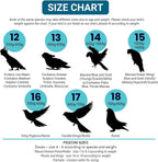 FLYPER Adjustable Mini Bird Diaper | Reusable, Washable Cloth | Comfort Fit for Parrots, Cockatiels, and Other Small Birds | Fashionable Avian Accessories Size 9.5 - Image 6