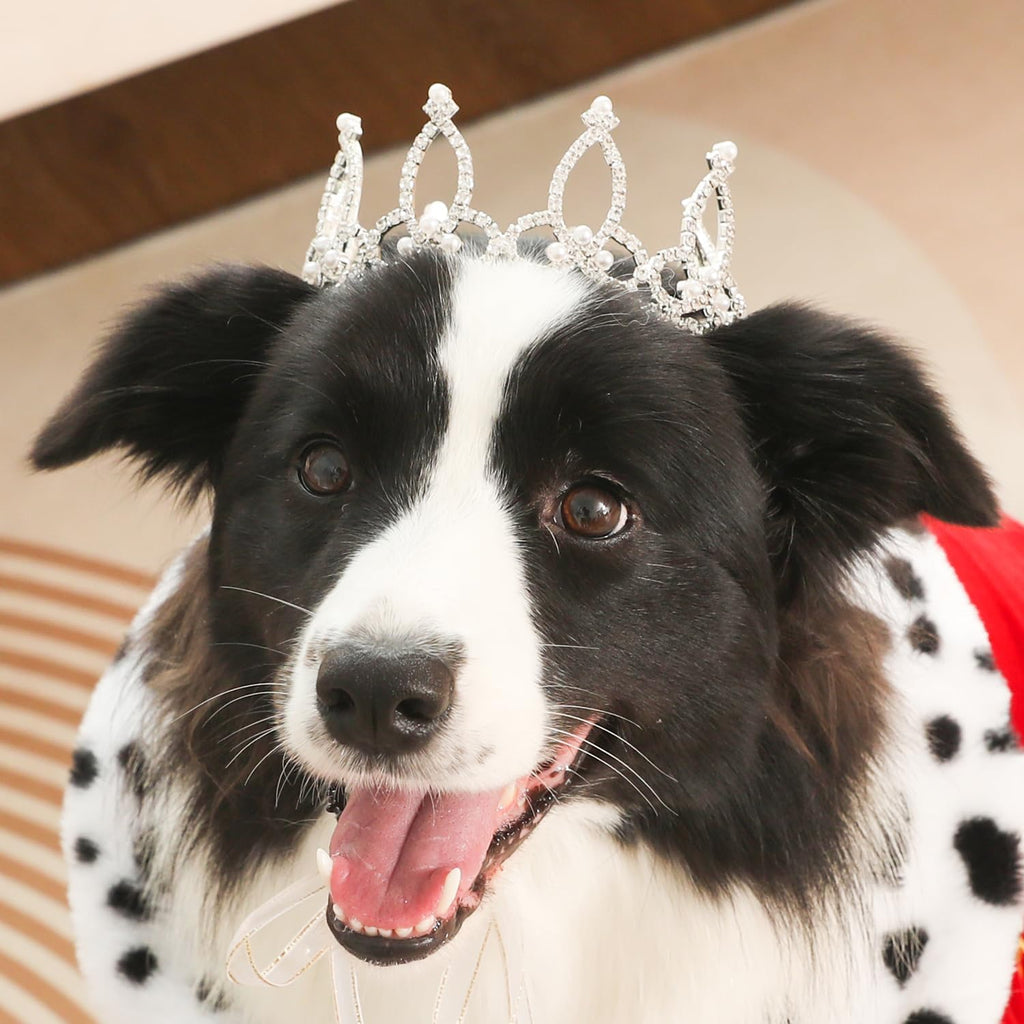 Lovelyshop Pet Series Silver Plated Royal Rhinestone Pearl Full Round Dog/Cat Crown for Rolyal Family Costume Hair Accessories-XSmall Size - Image 14