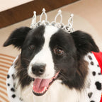 Lovelyshop Pet Series Silver Plated Royal Rhinestone Pearl Full Round Dog/Cat Crown for Rolyal Family Costume Hair Accessories-XSmall Size - Image 14