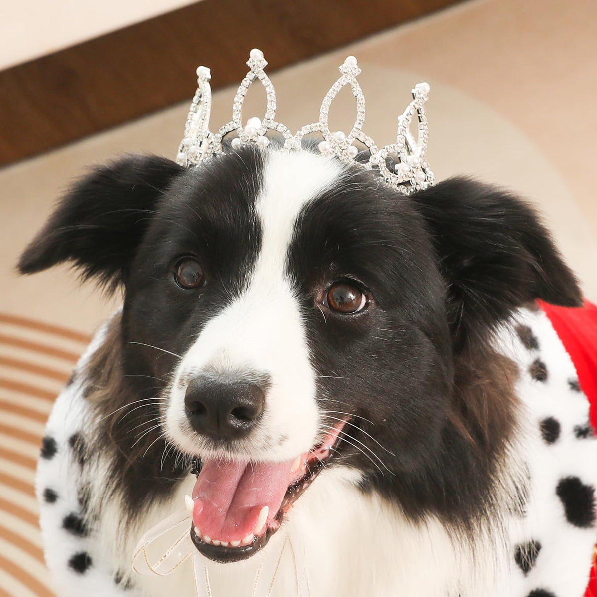 Lovelyshop Pet Series Silver Plated Royal Rhinestone Pearl Full Round Dog/Cat Crown for Rolyal Family Costume Hair Accessories-XSmall Size - Image 14
