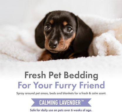 Petkin Calming Lavender grooming spray for travel use