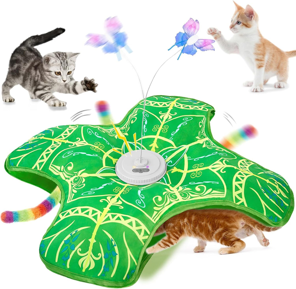 Qraxond premium imported feline entertainment system fully assembled and ready for independent play.