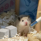 Calcium enriched small pet teeth grinding stones in cage setup