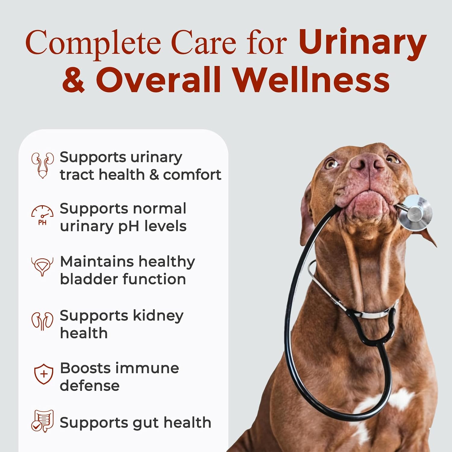 Legitpet canine urinary tract and bladder support 120 chicken chews packaging