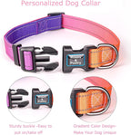 Adjustable quick release buckle detail on pet collar