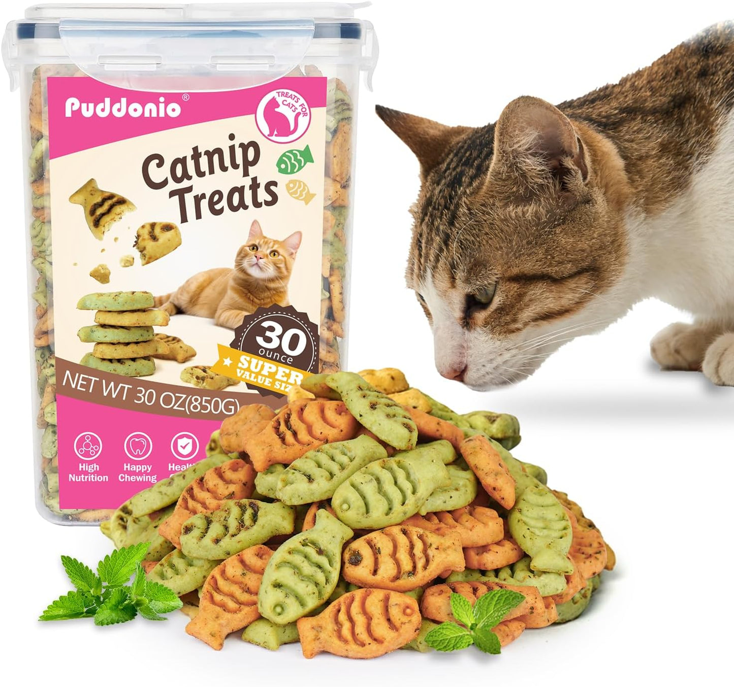 Catnip Cat Treats, Chicken & Salmon Flavor Crunchy Cat Biscuits, Fish-Shaped Training Snacks for Adult Cats, 16 oz - Image 9