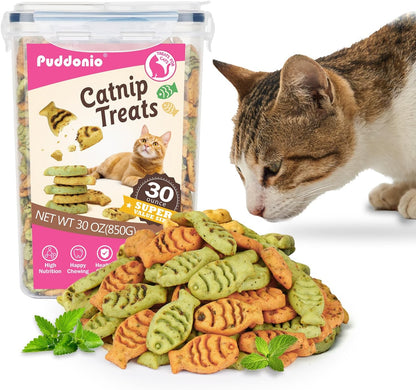 Catnip Cat Treats, Chicken & Salmon Flavor Crunchy Cat Biscuits, Fish-Shaped Training Snacks for Adult Cats, 16 oz - Image 9