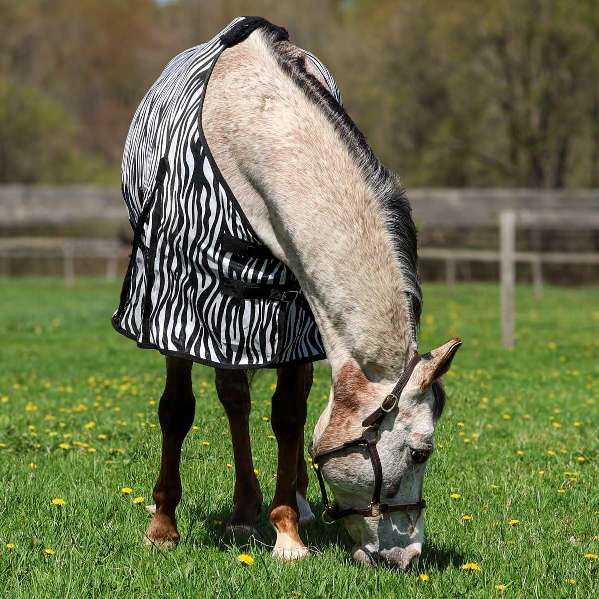 Close up view of the shoulder gussets on the Country Pride 78 inch summer equestrian sheet.