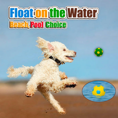 Durable lightweight interactive pet play balls on plain background