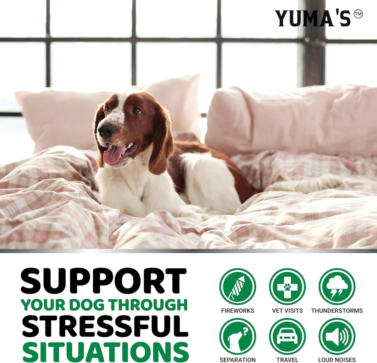 Veterarian formulated separation anxiety relief treats for hyperactive dogs.