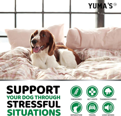 Veterarian formulated separation anxiety relief treats for hyperactive dogs.