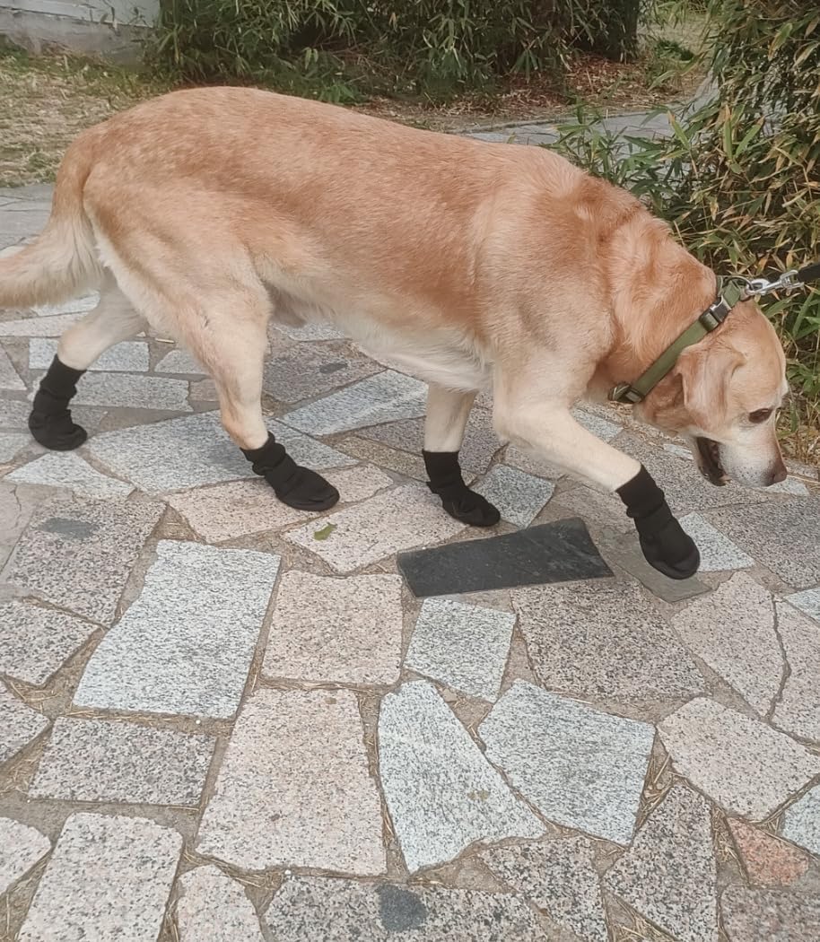 Lonsuneer Paw Protector Dog Boots set of four black shoes
