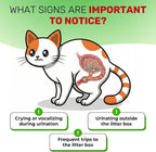 Creamy chicken flavored pet bladder irritation supplement packaging presentation